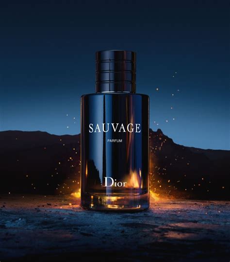 dior sauvage like perfume|fragrances like Dior Sauvage.